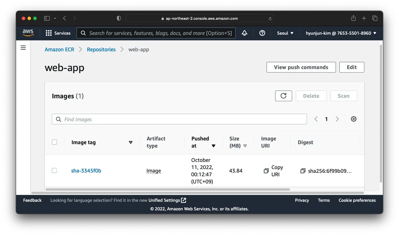 A screenshot of the new image in the ECR registry