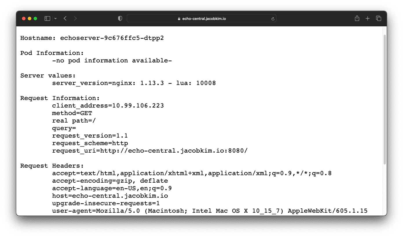 A screenshot of the echo server