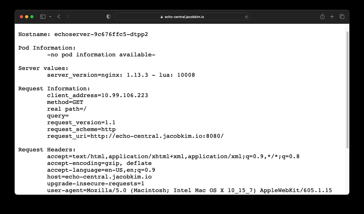A screenshot of the echo server