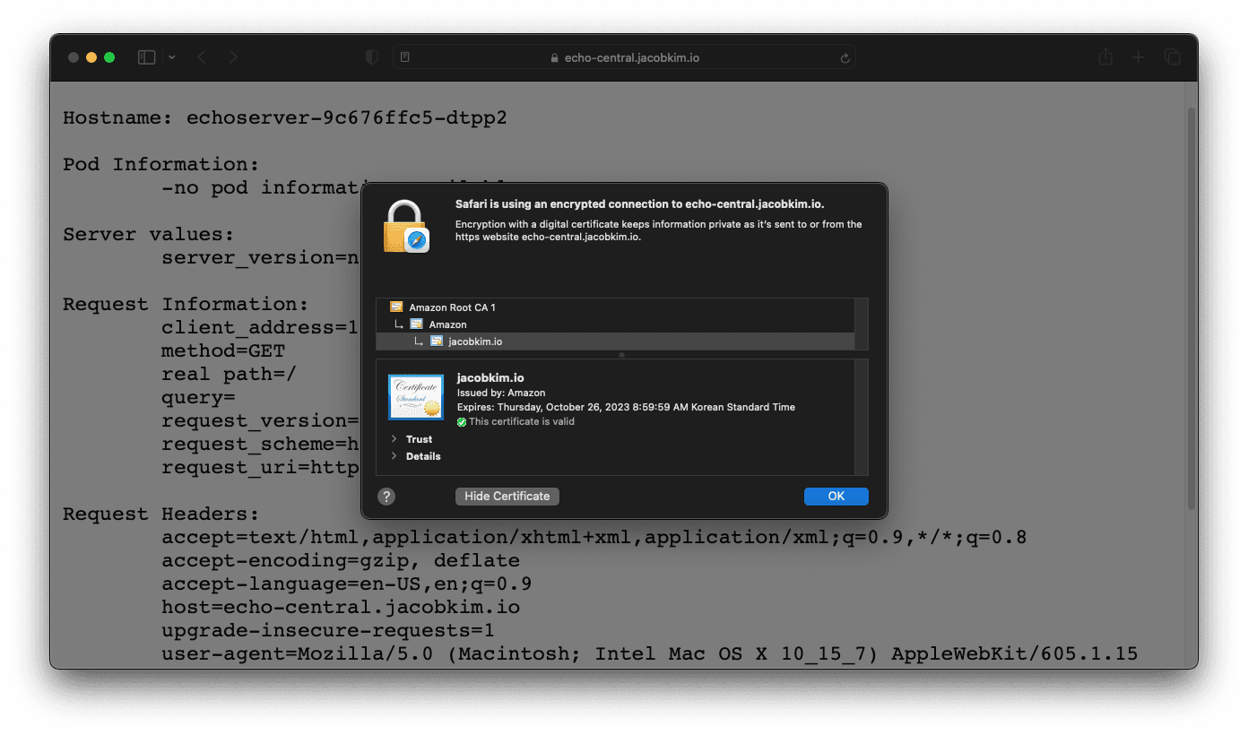 A screenshot of the echo server with a valid certificate