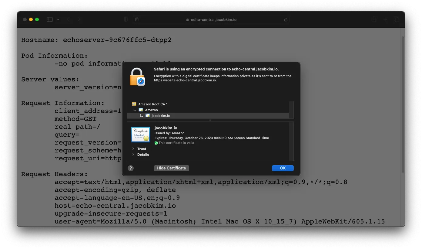 A screenshot of the echo server with a valid certificate