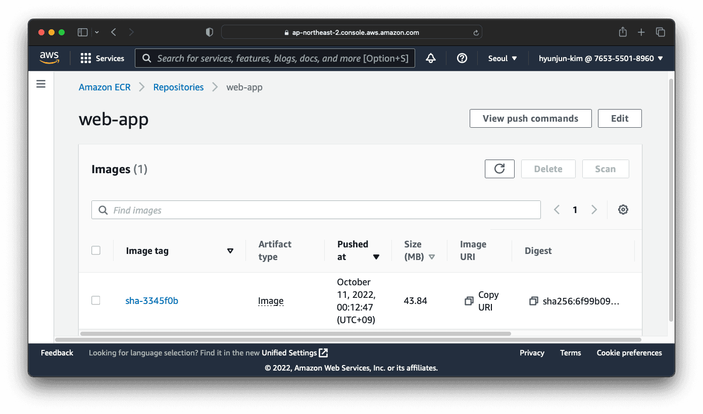A screenshot of the new image in the ECR registry