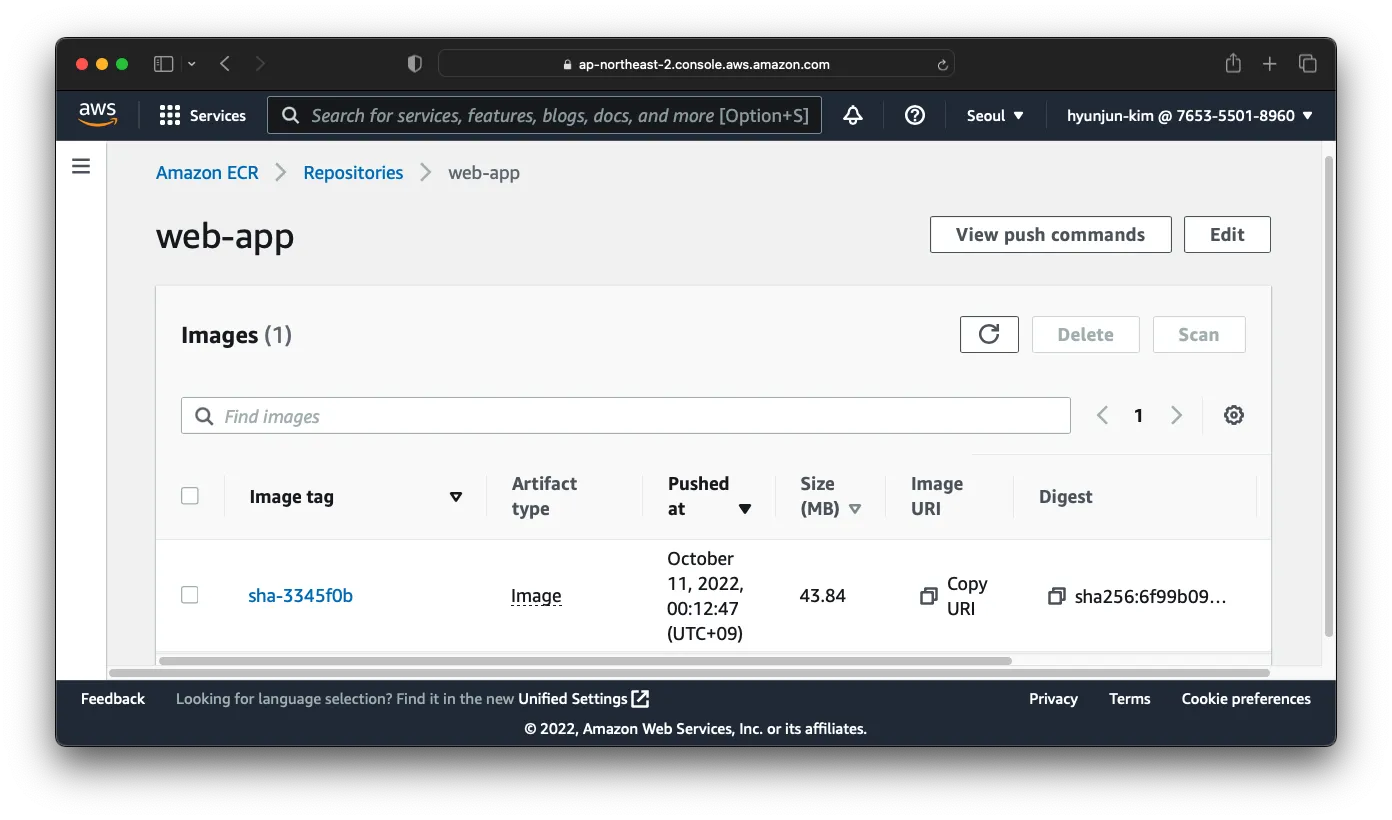 A screenshot of the new image in the ECR registry